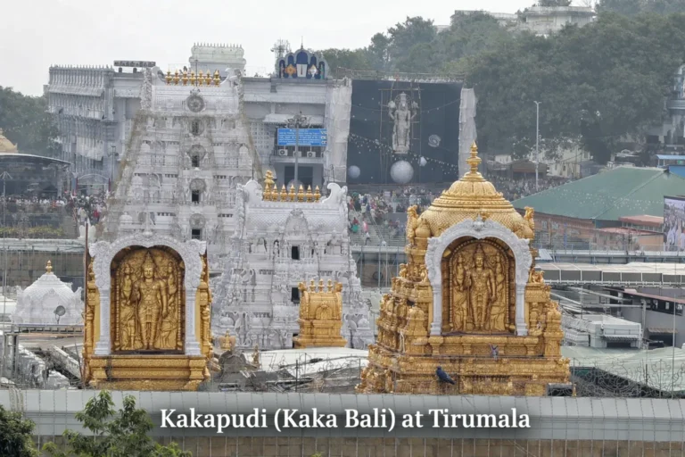 Kakapudi (Kaka Bali) at Tirumala