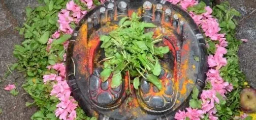 Lord-Tirumalaa-Holy-Feet-of-Narayanagiri.jpg