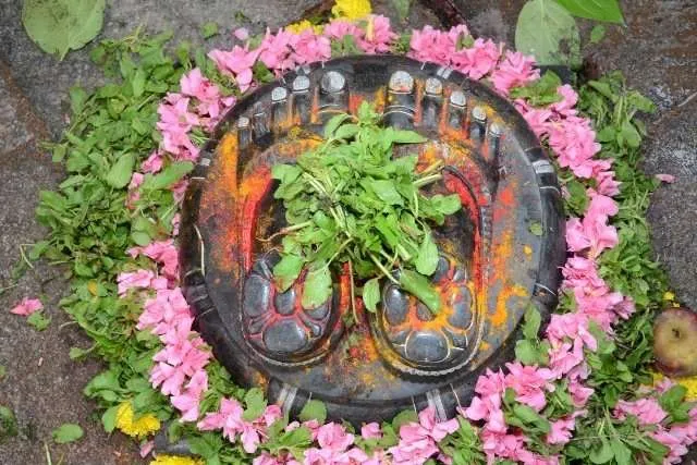 Lord-Tirumalaa-Holy-Feet-of-Narayanagiri.jpg