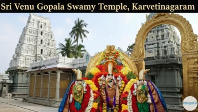 Sri Venu Gopala Swamy Temple, Karvetinagaram