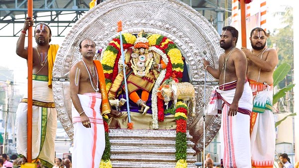 ratha-sapthamni-tiruchanoor